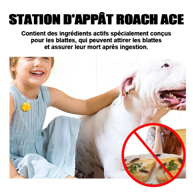 Station d'appât pour cafards 🇹🇩